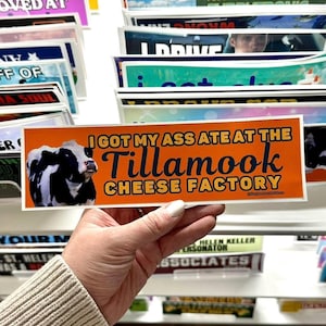 May include: An orange bumper sticker with the text "I GOT MY ASS ATE AT THE Tillamook CHEESE FACTORY" and a black and white cow graphic. The sticker is held in a hand, with other stickers visible in the background.