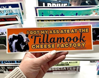 I Got My Ass Ate at the Tillamook Cheese Factory Sticker or Magnet, Funny Meme Car Decal, Waterproof Vinyl Gag Gift