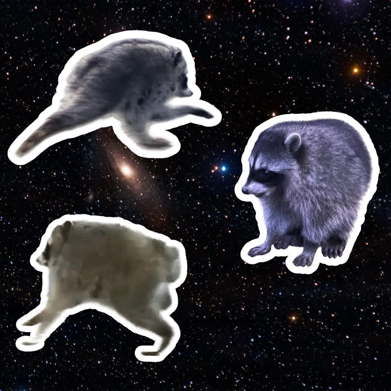 May include: Three distinct raccoon stickers featuring varied poses against a dark, starry space background. One raccoon is shown in profile, another is captured in a dynamic leaping motion, and the third appears as a blurry, indistinct shape.