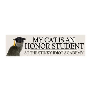 Adesivo o magnete "Il mio gatto è uno studente modello all'Accademia degli Idioti Puzzolenti", decalcomania per auto personalizzabile con meme divertenti sui gatti, vinile impermeabile, regalo