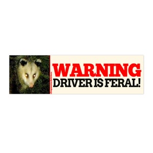 WARNING! Driver is FERAL   | Possum Meme Sticker | Marsupial | Funny Bumper Laptop Sticker | 8.5" x 2.5" |  Bumper Sticker OR Magnet