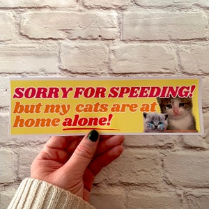 Sorry for speeding! But my cats (plural) are at home alone! Bumper Sticker or Magnet | Funny Sticker | Satire | Gen Z Humor 8.5" x 2.5"
