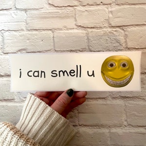 i can smell u | Bumper Sticker | Hydroflask Sticker | Gen Z Meme | Bumper Sticker OR Magnet | 8.5" x 2.5" Premium Weather-proof Vinyl