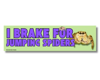 I Brake for Jumping Spiders | Weatherproof Vinyl Sticker or Magnet