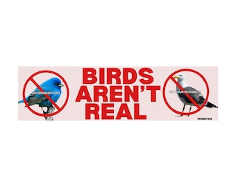 Birds Aren't Real Bumper Sticker or Magnet, Funny Conspiracy Meme Car Decal, Waterproof Vinyl Bird Lover Joke Gift