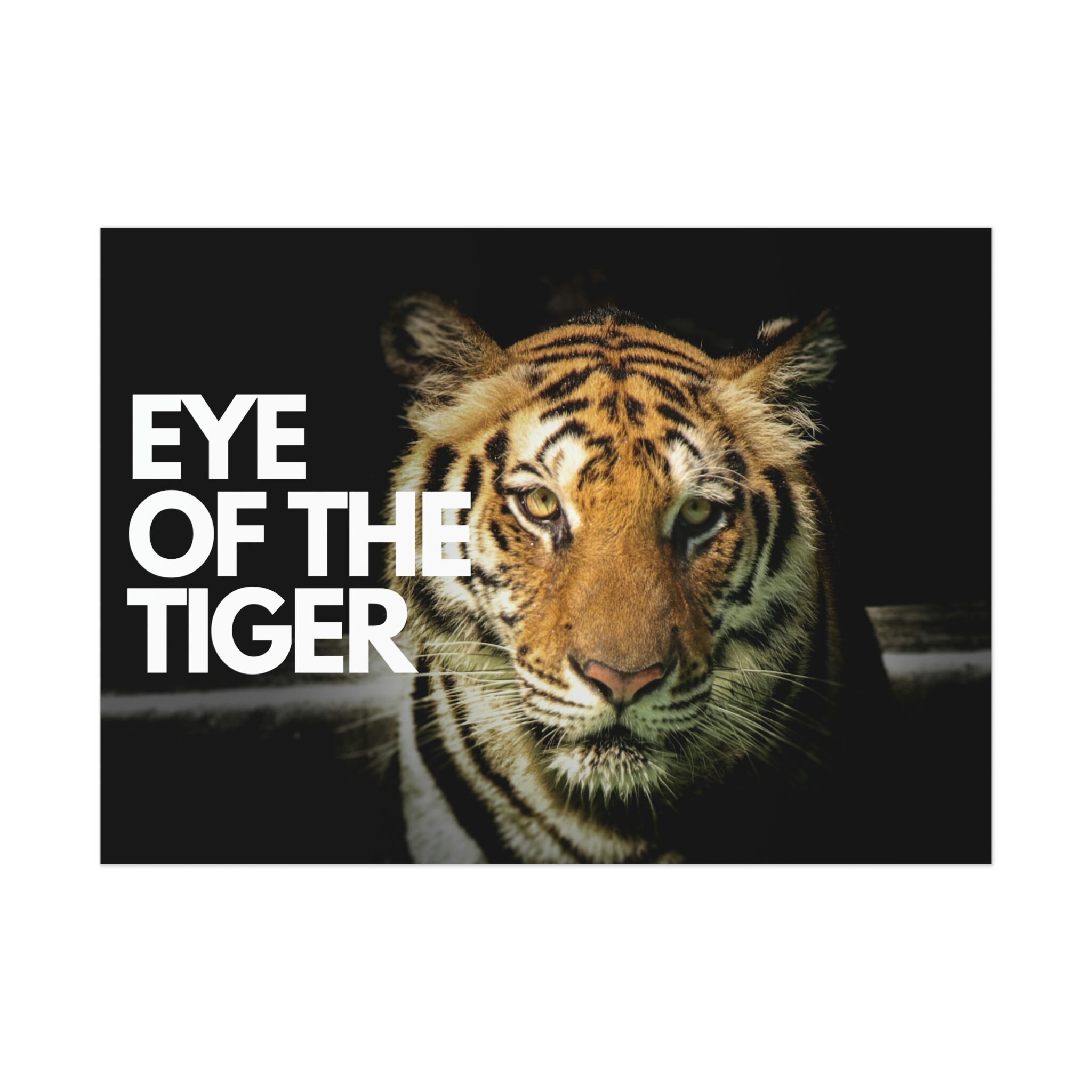 Motivationsposter, Auge des Tigers