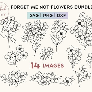 Desenhado à mão Não me esqueça de flores Pacote SVG PNG DXF Boho Conjunto de ilustração floral Desenho de linha minimalista