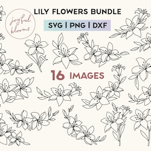 Handgetekende Lelie Bloemen Bundel SVG PNG DXF, Boho Floral Line Art, Minimalistische Cut Files, Cricut Silhouet Illustraties, Digitale Download