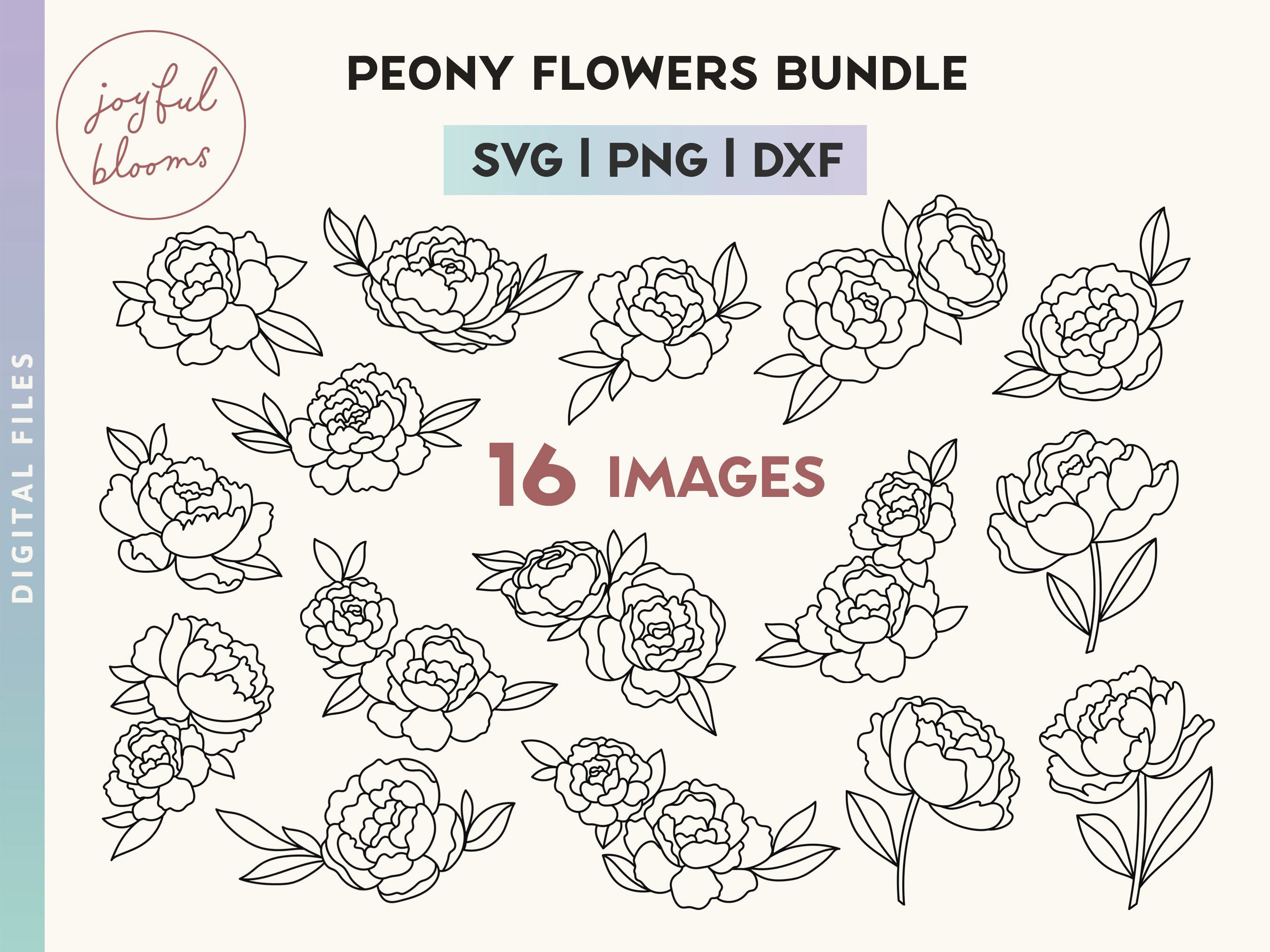 Hand-Drawn Peony Flowers SVG PNG DXF Bundle, Boho Floral Line Art, Minimalist Cut Files, Cricut Silhouette Illustration, Digital Download