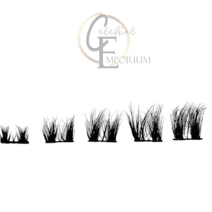 May include: Five different sizes of black lash extensions, arranged from smallest to largest.