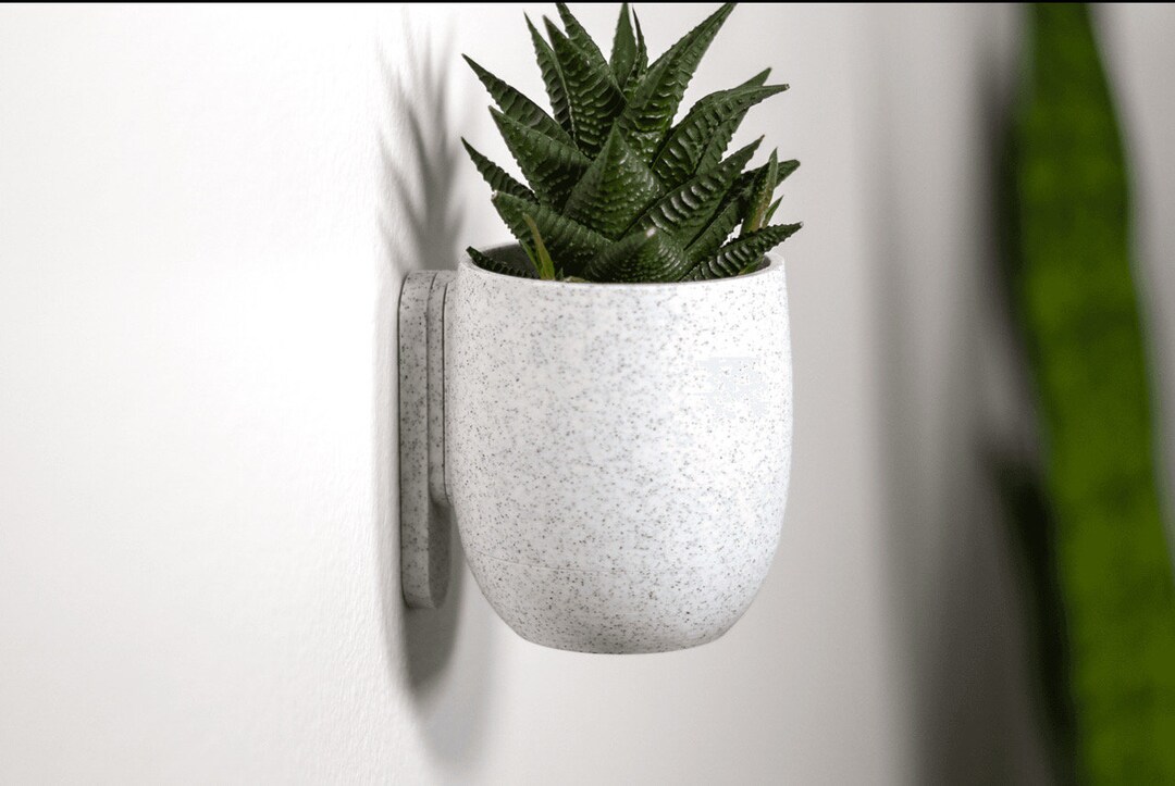 Wall Planter the Simple Cup Planter With Hidden Drip Tray - Etsy