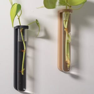 Wall Mount Propagation Station