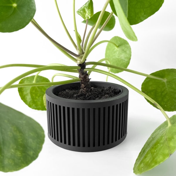 Tabletop Planter with Drip Tray- The Paxon Planter, Modern Indoor Planter