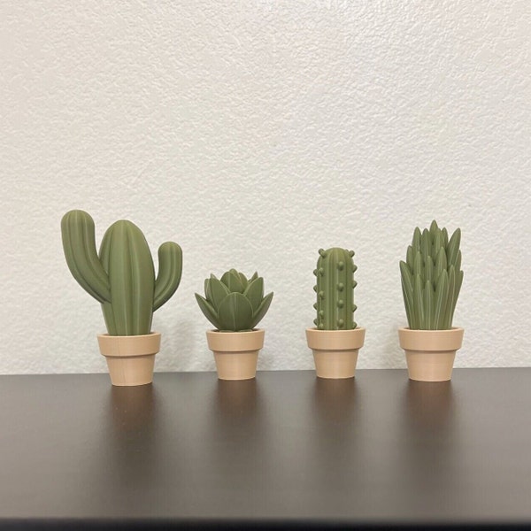 Fake Cactus and Succulent Tabletop Planters- Faux Succulents