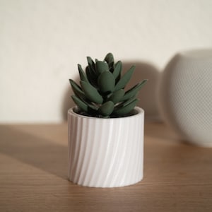 Könnte beinhalten: Eine kleine, dunkelgrüne Sukkulentenpflanze in einem weißen, zylindrischen Topf mit einem strukturierten, diagonalen Streifendesign. Der Topf steht auf einer Holzoberfläche. Im Hintergrund befindet sich ein weißes, kugelförmiges Objekt.
