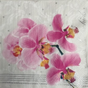 May include: Pink orchid flowers with white and silver accents on a white background.