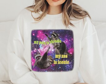 My Pain Is Chronic But My Ass Is Iconic Meme Sweatshirt, Raccoon Tanuki, Opossums Lover Hoodie, Possums Sweatshirt, Sad Opossums Meme