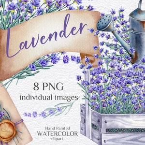 Lavender watercolor clipart. Provencal rustic style. Herbal hand-painted clipart. Wedding design. Holiday cards, wishes. Printable PNG files