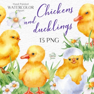Frühling Hühner und Entenküken. Aquarell Ostern Clipart. Kleine Vögel, niedlich, Weihnachtskarte, Kinderzimmerkunst. Gras, Blumen. Druckbares PNG