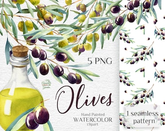 Olives branches, olive oil. Watercolor clipart. Olives images for commercial use. Botanical illustrations. Download printable PNG files
