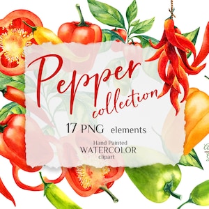 Puede incluir: Ilustración en acuarela de una colección de pimientos, con pimientos rojos, amarillos y verdes. La imagen incluye pimientos enteros, cortados y un manojo de chiles secos. El texto dice "Pepper Collection" y "17 PNG elements."