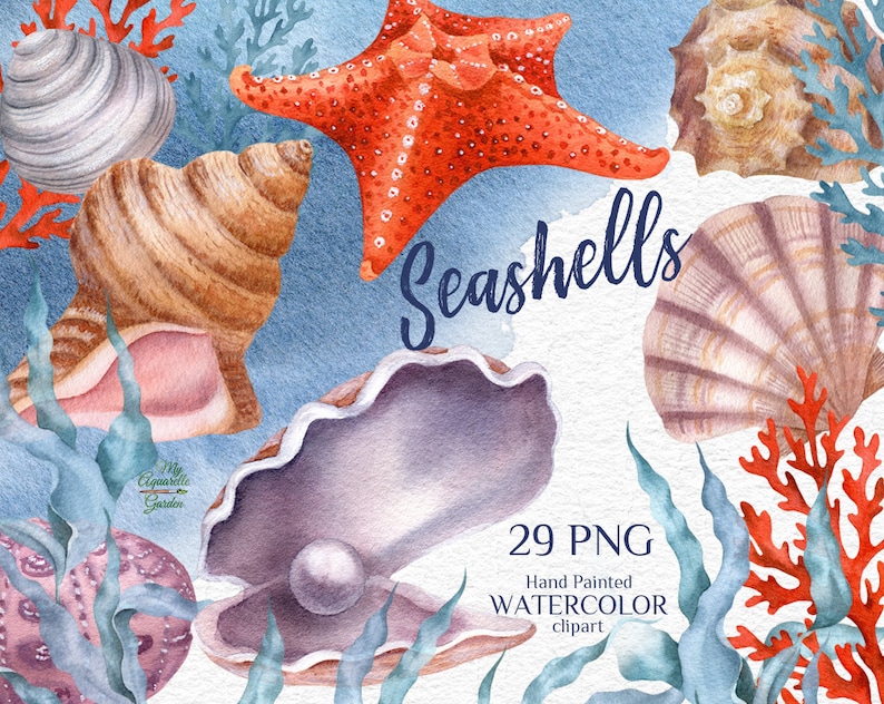 Ocean creatures. Under the sea. Corals, seashells, starfishesl. Watercolor printable images. Nursery, wedding decor. PNG files image 1