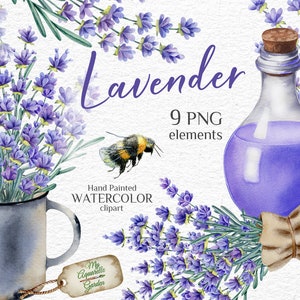 Lavender watercolor clipart. Provencal rustic style. Herbal hand-painted clipart. Wedding design. Holiday cards, wishes. Printable PNG files