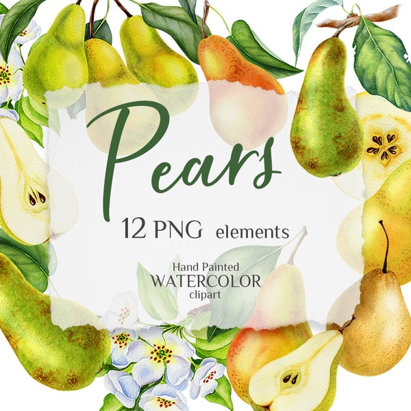 Pears. Watercolor clipart. Pears blossom, branches. Botanical illustrations. Scrapbook, decoration, wall art, stickers. Printable PNG files