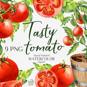 Tomaten, Pflanzkasten aus Holz. Aquarell handgemalte Clipart. Kommerzielle Nutzung Botanische Illustrationen. Wandkunst, Dekor. Druckbare PNG-Dateien