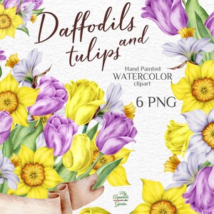 Narzissen und Tulpen. Frühlingsblumen Sträuße und Girlanden. Botanisch. Hochzeit Dekor. Weihnachtskarten, Wünsche. Druckbare PNG-Dateien herunterladen