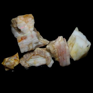 May include: A collection of five raw opal stones featuring irregular shapes and textures. The stones display a milky white base color with translucent sections, earthy brown inclusions, and flashes of iridescent green and orange fire.