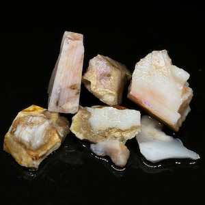 May include: A collection of six rough opal stones in various shades of white, pink, and brown. The stones have a natural, unpolished finish and show iridescent flashes of color.