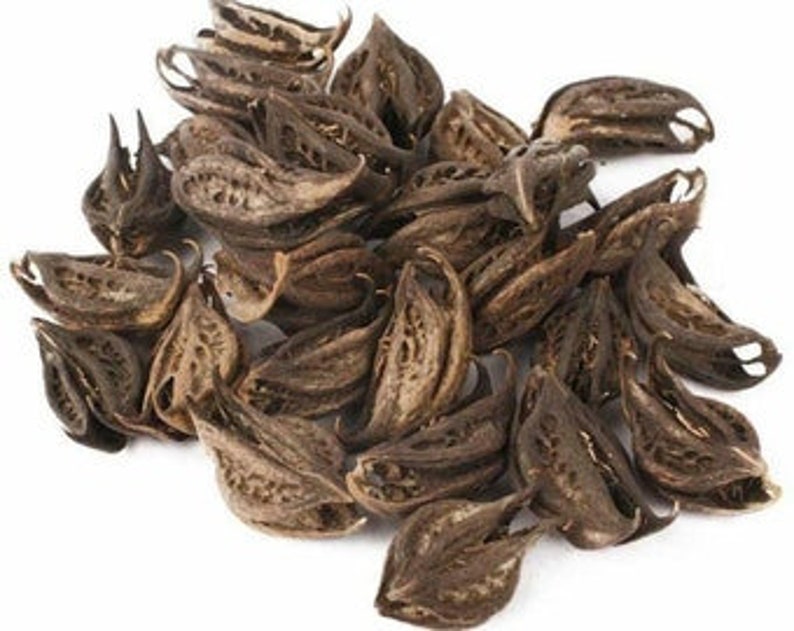 Bicchu Phal Seed Bichhu Pha Powder Bat Head Root Seeds Etsy