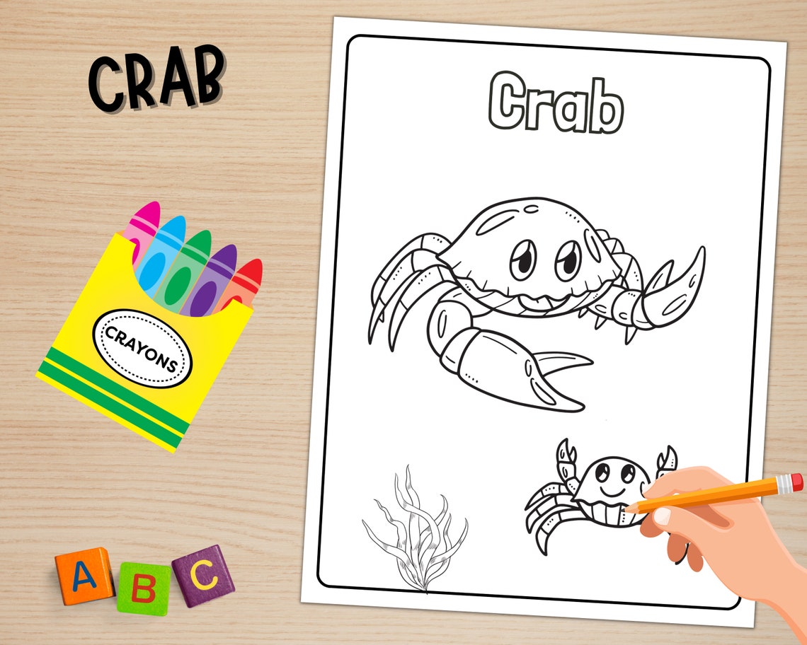 Ocean and Sea Animals Coloring Pages Sea Life Coloring - Etsy