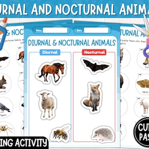 Actividad de clasificación de animales nocturnos y diurnos / Imprimible / Imágenes reales / Clasificación de animales diurnos y nocturnos / Descarga instantánea / PDF