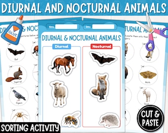 May include: A printable educational activity for kids to learn about diurnal and nocturnal animals. The worksheet features a sorting activity where children cut out pictures of animals and paste them into the correct category. The animals include a bat, squirrel, pigeon, spider, horse, fox, cat, moth, goat, and hedgehog.