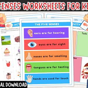Printable Five Senses Worksheets for Preschool, Kindergarten Five Senses Activity Sheets, Five Senses Sorting Activity, Learn Five Senses