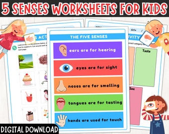 Hojas de trabajo imprimibles de los cinco sentidos para preescolar, jardín de infantes Hojas de actividades de los cinco sentidos, Actividad de clasificación de los cinco sentidos, Aprenda los cinco sentidos