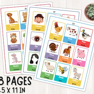 K&ouml;nnte beinhalten: Ein Satz von 38 bunten Lernkarten mit Illustrationen von Tieren und K&ouml;rperteilen. Jede Karte hat ein englisches und ein spanisches Wort f&uuml;r das Bild. Die Karten sind 8,5 x 11 Zoll gro&szlig;.