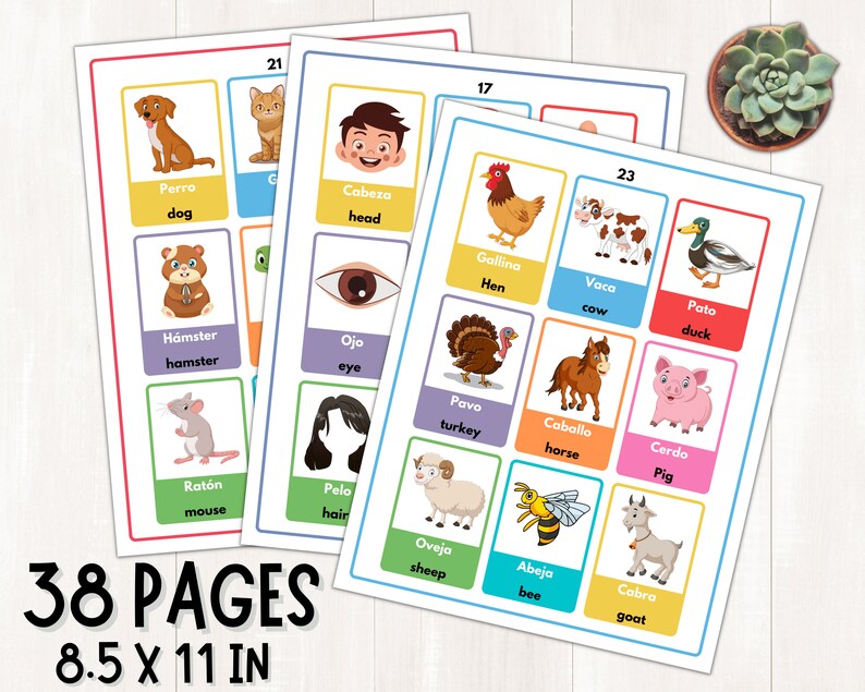 K&ouml;nnte beinhalten: Ein Satz von 38 bunten Lernkarten mit Illustrationen von Tieren und K&ouml;rperteilen. Jede Karte hat ein englisches und ein spanisches Wort f&uuml;r das Bild. Die Karten sind 8,5 x 11 Zoll gro&szlig;.