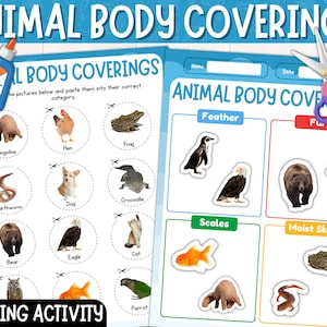May include: A printable educational activity for children to learn about animal body coverings. The worksheet features colourful illustrations of animals like a frog, a hen, a dog, a bear, an eagle, a parrot, a pangolin, an earthworm, a crocodile, and a cat. The animals are grouped by their body coverings: feathers, fur, scales, and moist skin.