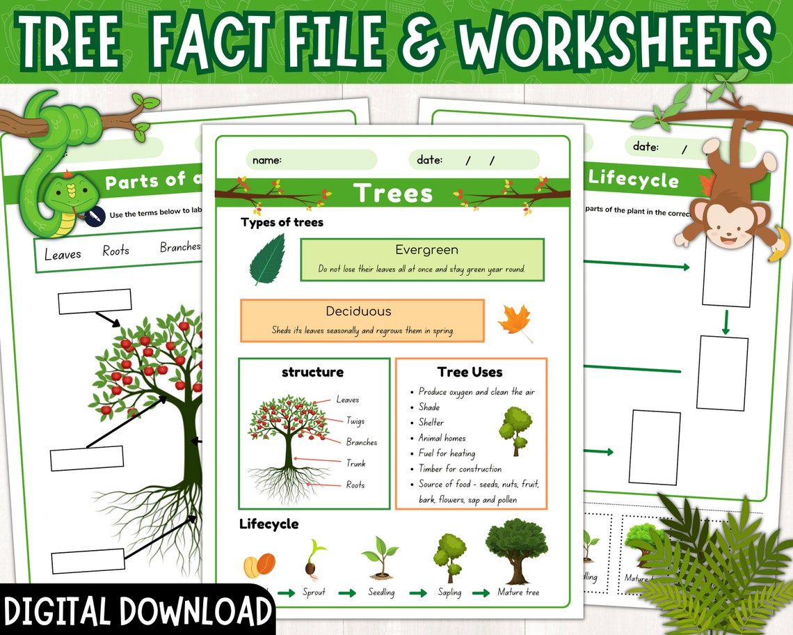 Parts of a Tree Labeling Activity | Tree Life Cycle Worksheet | Tree ...