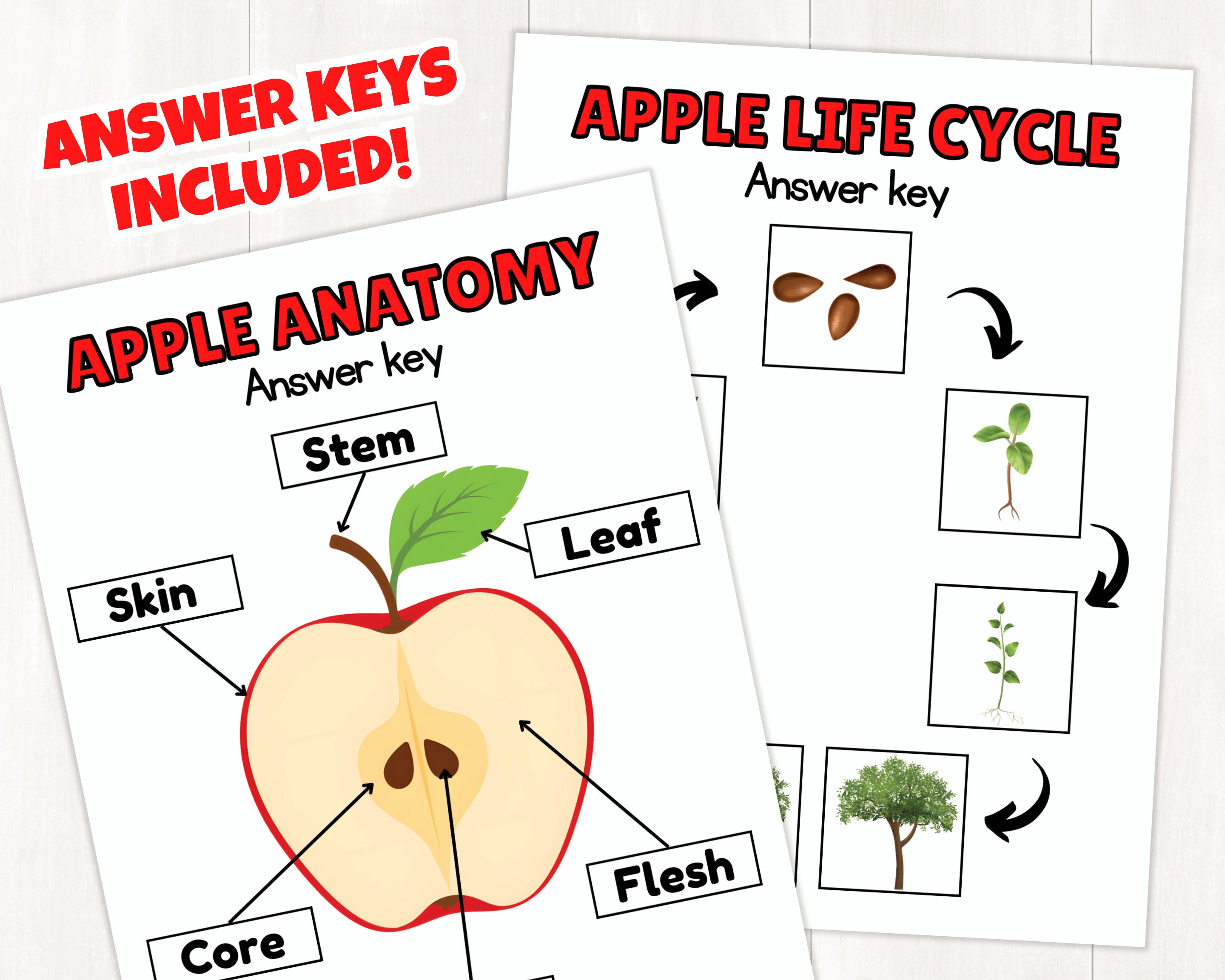 Printable Apple Activity Pack for Kids | Apple Fall Worksheets | Apple ...