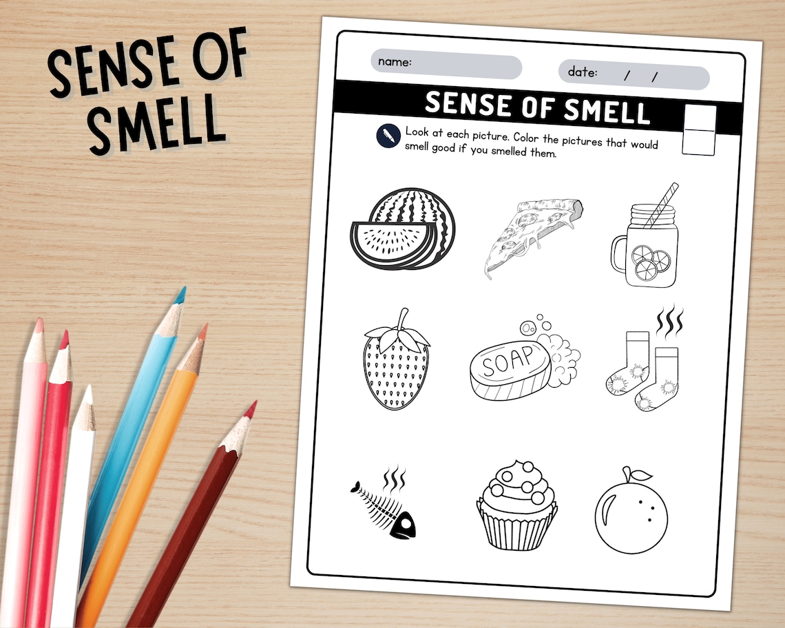 My Five Senses Activities Worksheets, 5 Senses Coloring Sheets ...