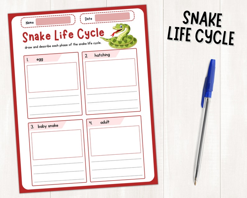 Printable Animal Life Cycle Research Project Templates, Animal Research