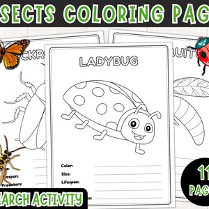 Afdrukbare insecten kleurplaten voor kinderen, insectenonderzoeksactiviteit, insectenkleurboek, insectenfeiten, insectenonderzoeksrapport, PDF
