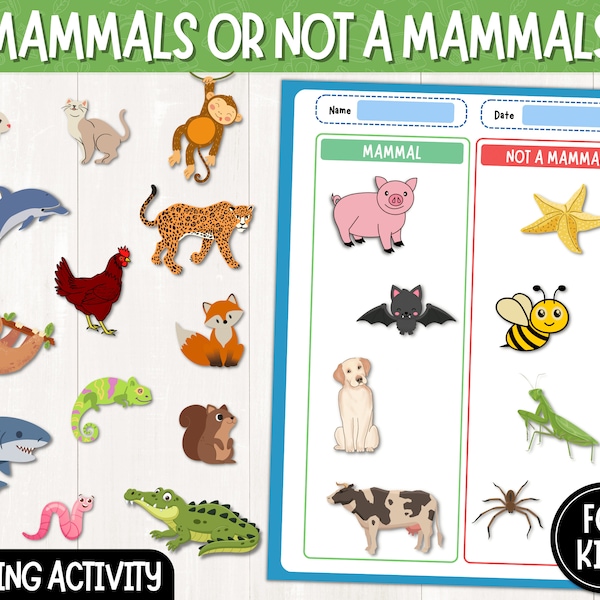 Mammal vs. Not a Mammal Picture Sort | Animals Sorting Activity | Animal Classification Printable Activity Sheets | Digital Download | PDF