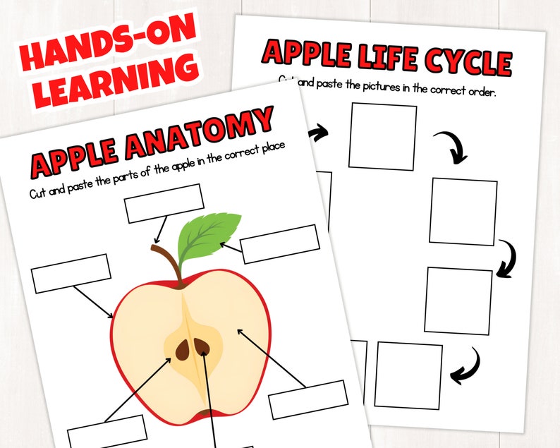 Printable Apple Activity Pack for Kids | Apple Fall Worksheets | Apple ...