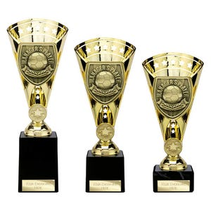Cobra star manager's player gold football cup - free engraving