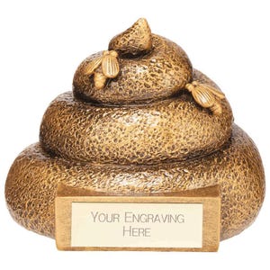 Trophy superstore no.2 stinky poo award trophy - free engraving - size 70mm